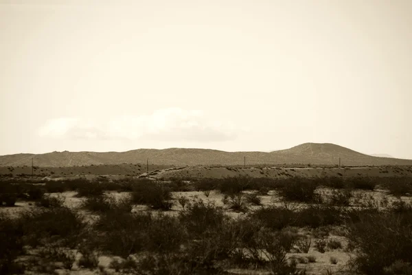 Paisaje del desierto de Mojave — Foto de Stock