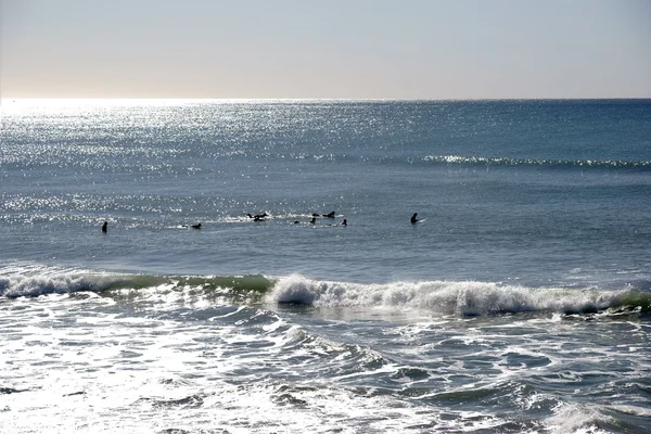 Oceanside szörfözés — Stock Fotó