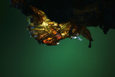 Kurutulmuş reçine makro