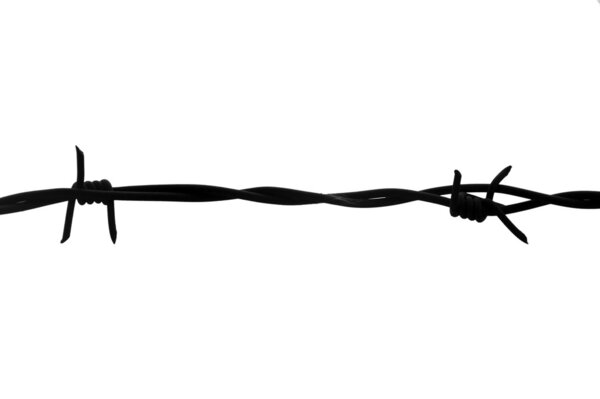 Barbed wire isolated