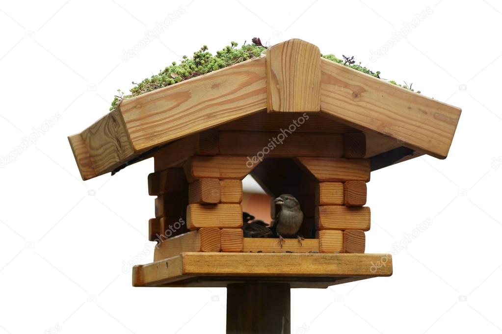 Sparrow bird feeders