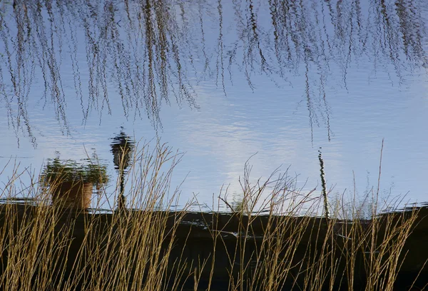 Riflessi nell'acqua — Foto Stock