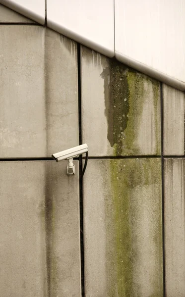 Imágenes de Lavado concreto, fotos de Lavado concreto sin royalties