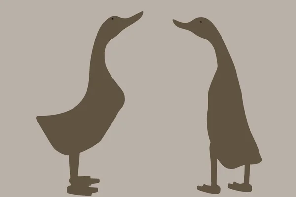 Dois gansos de pé eretos — Fotografia de Stock