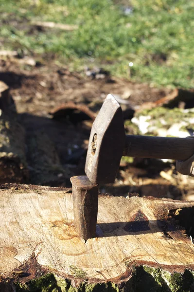 Splitting wood — Stock Photo, Image