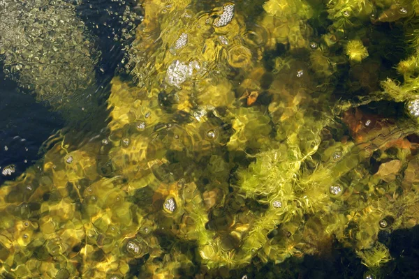 추상 물 표면 — 스톡 사진