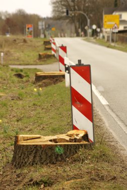Kütükleri yol kenarı