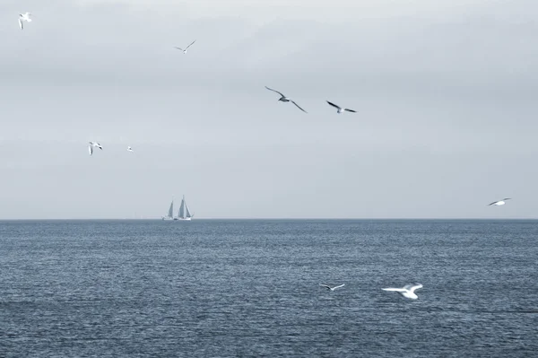 Barca da pesca tradizionale — Foto Stock