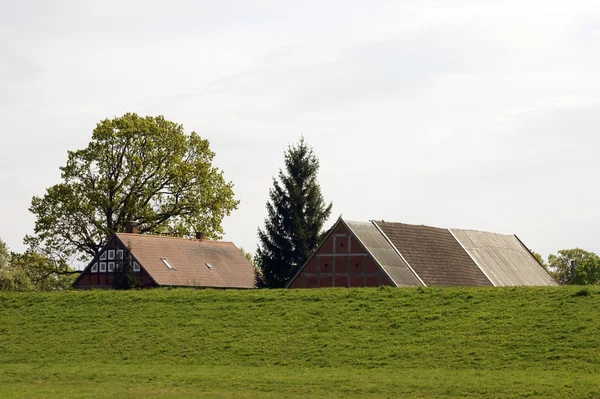 Rooftops behind the dike — Stock Photo, Image