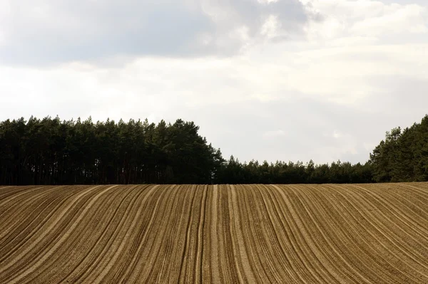 Hügeliges Feld mit Furchen — Stockfoto