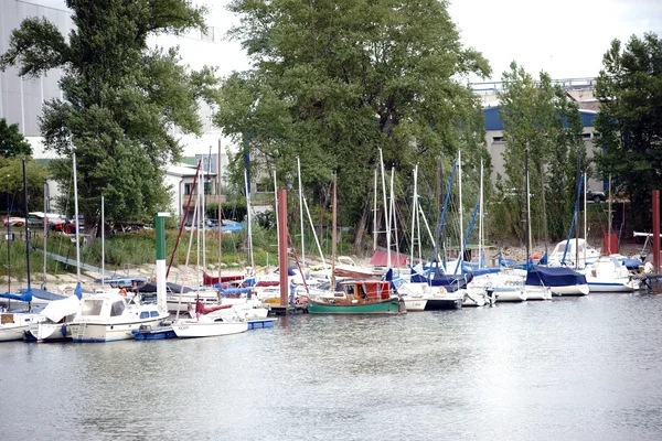 Der Segelboothafen in mainz — Stockfoto