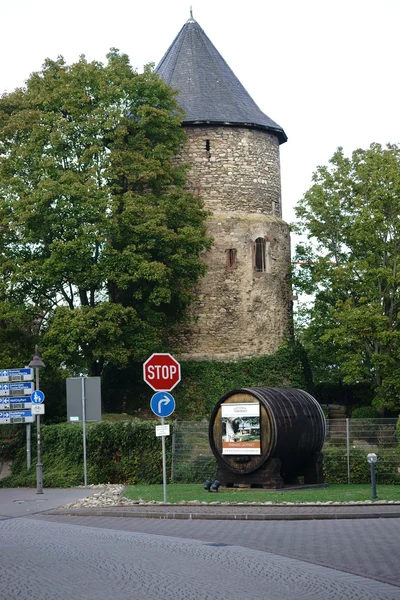 Terrazze Kupferberg Magonza — Foto Stock