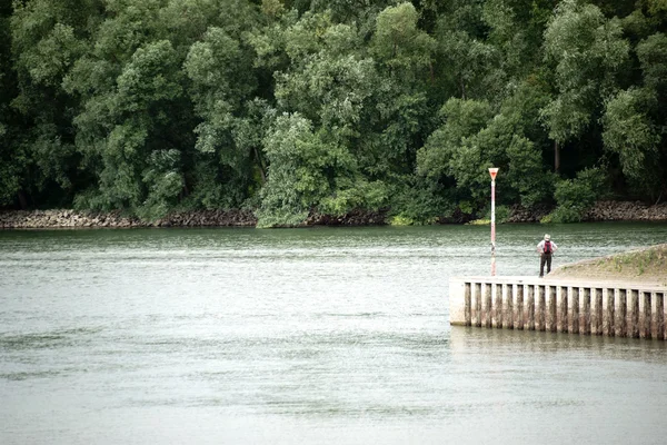 Великі річки Рейн — стокове фото