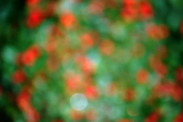 Абстрактные осенние ягоды — стоковое фото