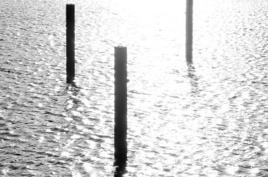 Güneş ışığında ayağı