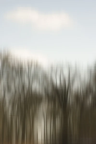 Blurred trees in water — Stock Photo, Image