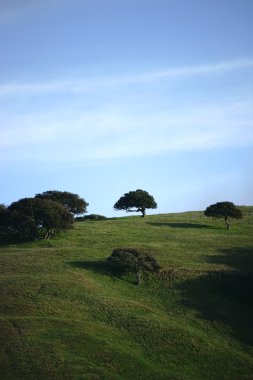 Carmel yakınındaki Hills