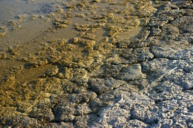 Salton Denizi, maden toprak