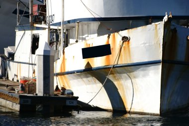 Rusty Trawler portre