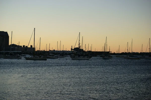 Segelbåtar tidigt på morgonen — Stockfoto