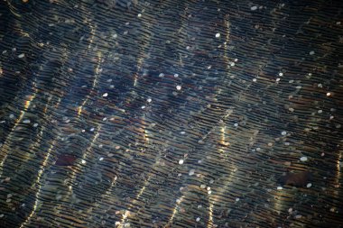 Çeşme altındaki paraları