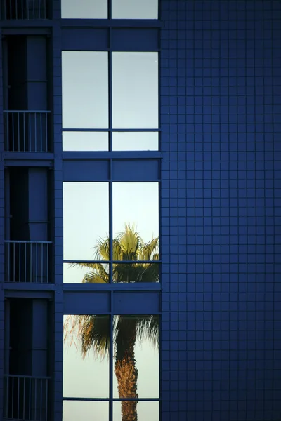 Californische wijn veld — Stockfoto