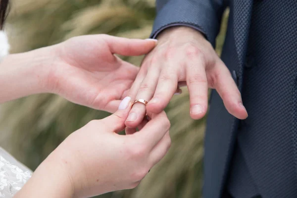 Bride Puts Ring Groom — Stock Photo, Image