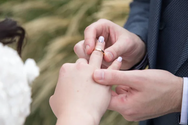 Brudgummen Sätter Ringen Bruden Stockfoto