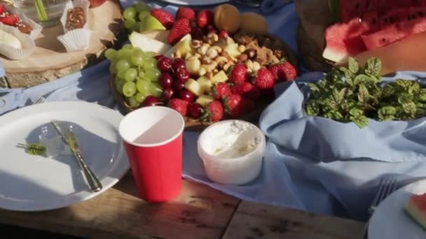 Picknicktisch Mit Früchten Beeren Käse Mikrogemüse Und Nüssen — Stockvideo