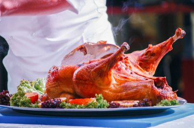 Şef hindi doğruyor.