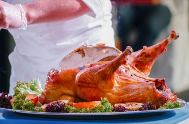 Şef hindi doğruyor.