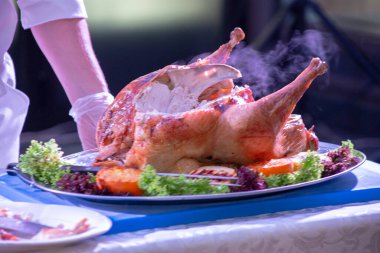 Şef hindi doğruyor.