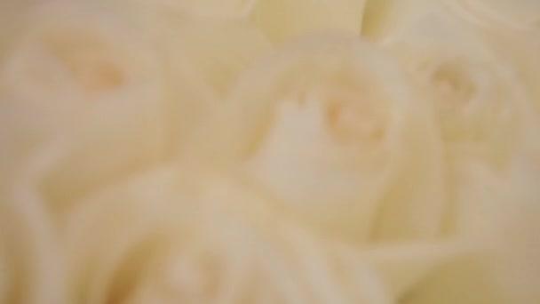 Kamera Nagyít Egy Nagy Csokor Fehér Rózsa — Stock videók