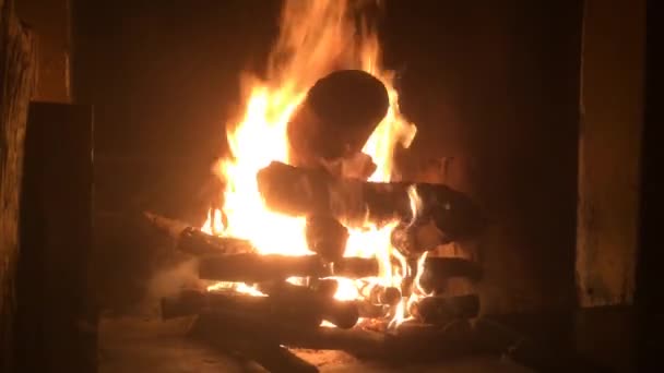 Burning Fire Fireplace Interior Ambient Light — Stock Video