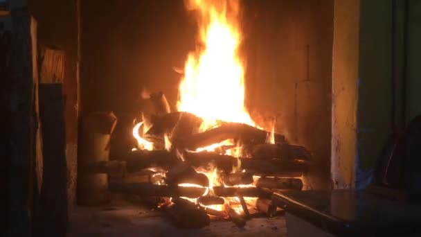 Burning Fire Fireplace Interior Ambient Light — Stockvideo