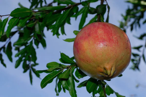 ÜÇÜNCÜ MÜZİK MÜZİK.