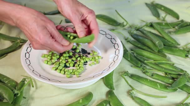 Manos Femeninas Bombardeando Guisantes Verdes Frescos Plato Fondo Varias Vainas — Vídeo de stock