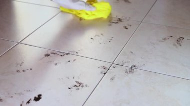 Beyaz lastik eldivenli ev hanımı siyah ayak izlerini silmek için yerleri sarı bezle temizler. 