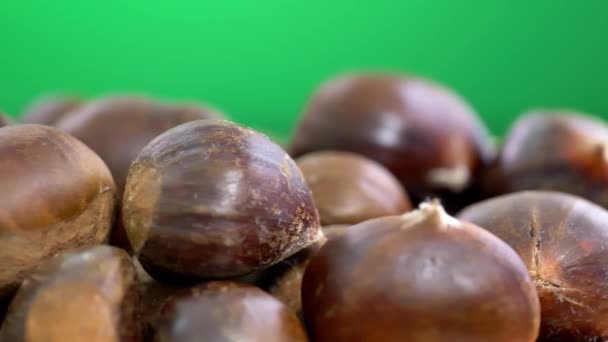 Loopable Chestnut Ultra Royalty Free Stock Footage