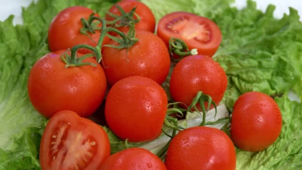 Pomidor Turnable Tle Warzywa — Wideo stockowe