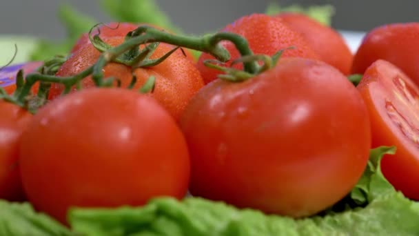 Fundo Tomate Fresco Orgânico — Vídeo de Stock