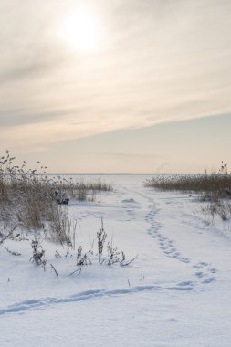 Güzel kış manzarası
