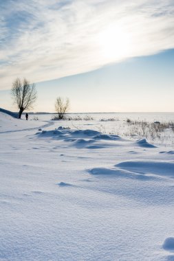 Güzel kış manzarası