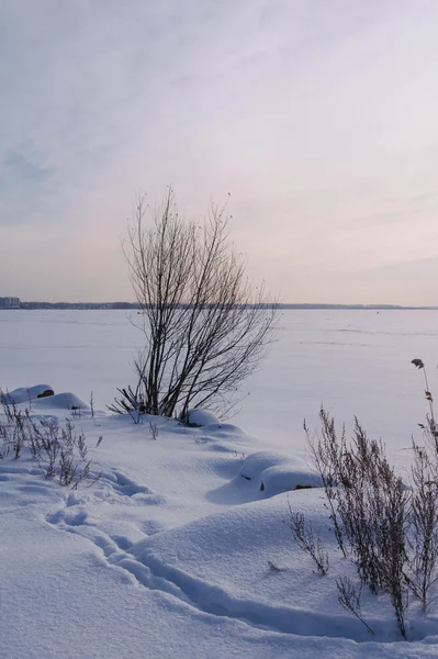 Beautiful winter landscape — Stock Photo, Image