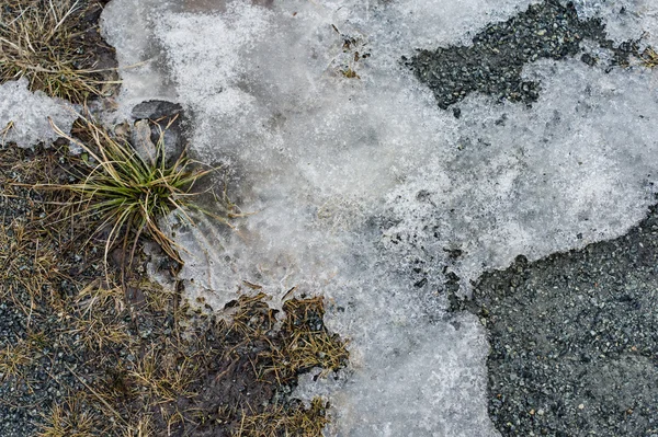 Melting ice on the road — Stock Photo, Image