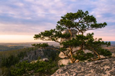 bahar orman üzerinden günbatımı