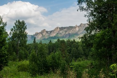 vahşi orman uzak Dağları yükselişi