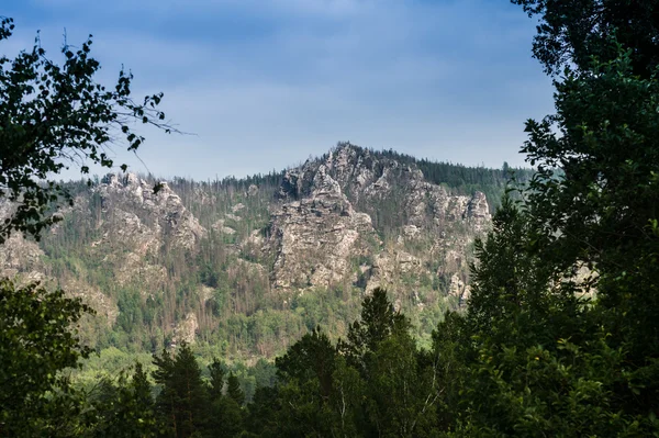 Distant mountains rise above the wild forest — Stock Photo, Image