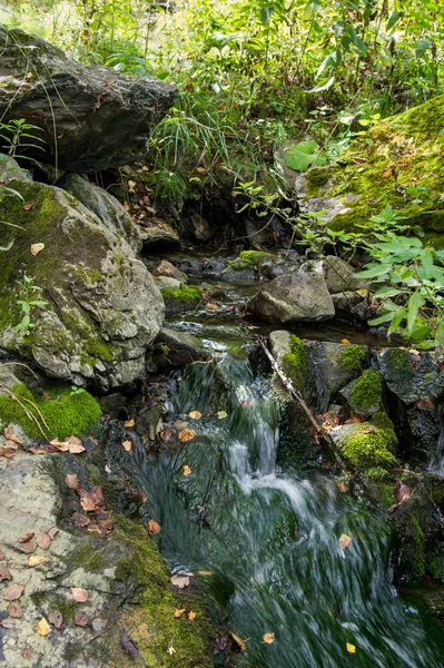 Čistý horský pramen toky mezi kameny pokryté mechem — Stock fotografie