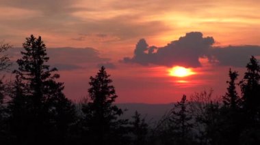 Ormanda günbatımı Timelapse